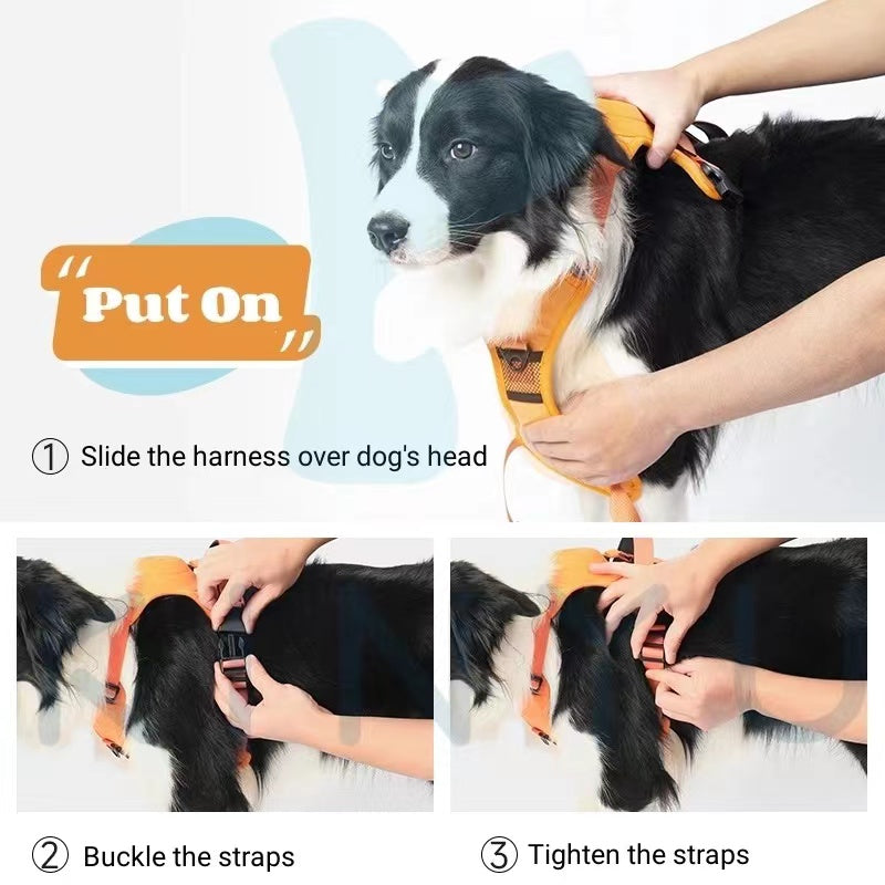 Dog Harness With Retractable Leash